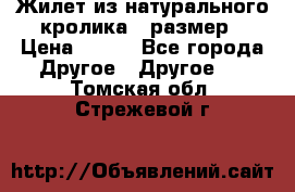 Жилет из натурального кролика,44размер › Цена ­ 500 - Все города Другое » Другое   . Томская обл.,Стрежевой г.